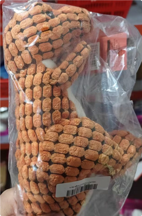 Dinosaur Dog Toy – Interactive Chew Toy for Large & Small Dogs with Squeaker